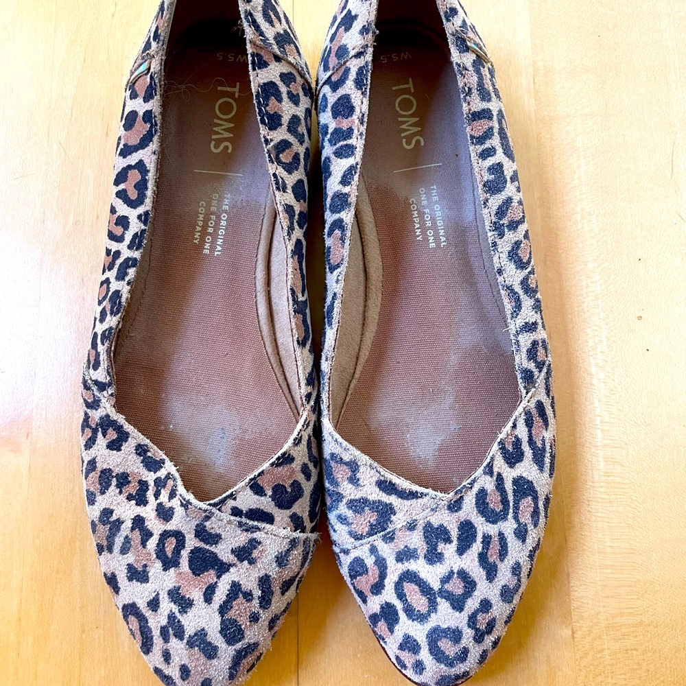 Tom’s Cheetah Flats